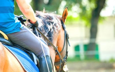 Speeding up Recovery from Horseback Riding Accident with HBOT